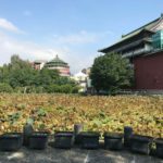 【台北 観光】小南門や古亭からも近い「台北植物園」はおすすめ