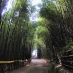 台湾 西部｜苗栗・台中・嘉義・屏東 おすすめスポットを紹介します！