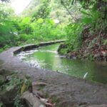 台北から行けるハイキング〜 陽明山 坪頂古圳步道 で水路を辿る