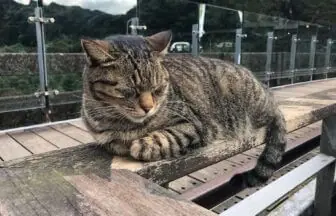 猴硐