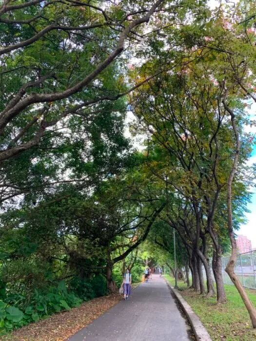 公園の步道