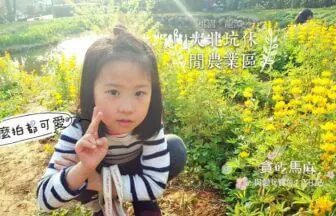 桃園龍潭