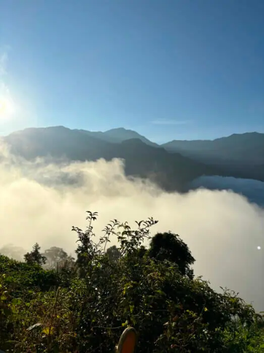 茶山雲海